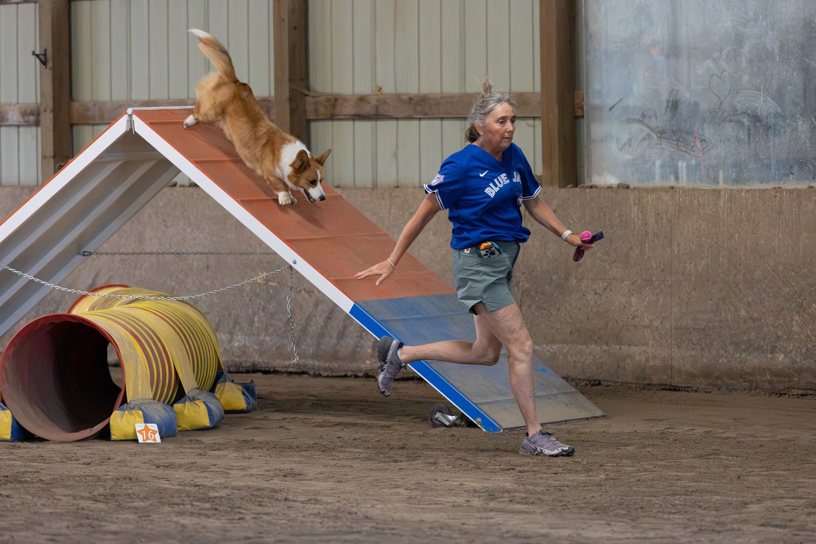 Advanced Agility Foundations (Level 3)